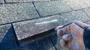 Close view of dark roof staining and green moss spreading across weathered asphalt shingles.